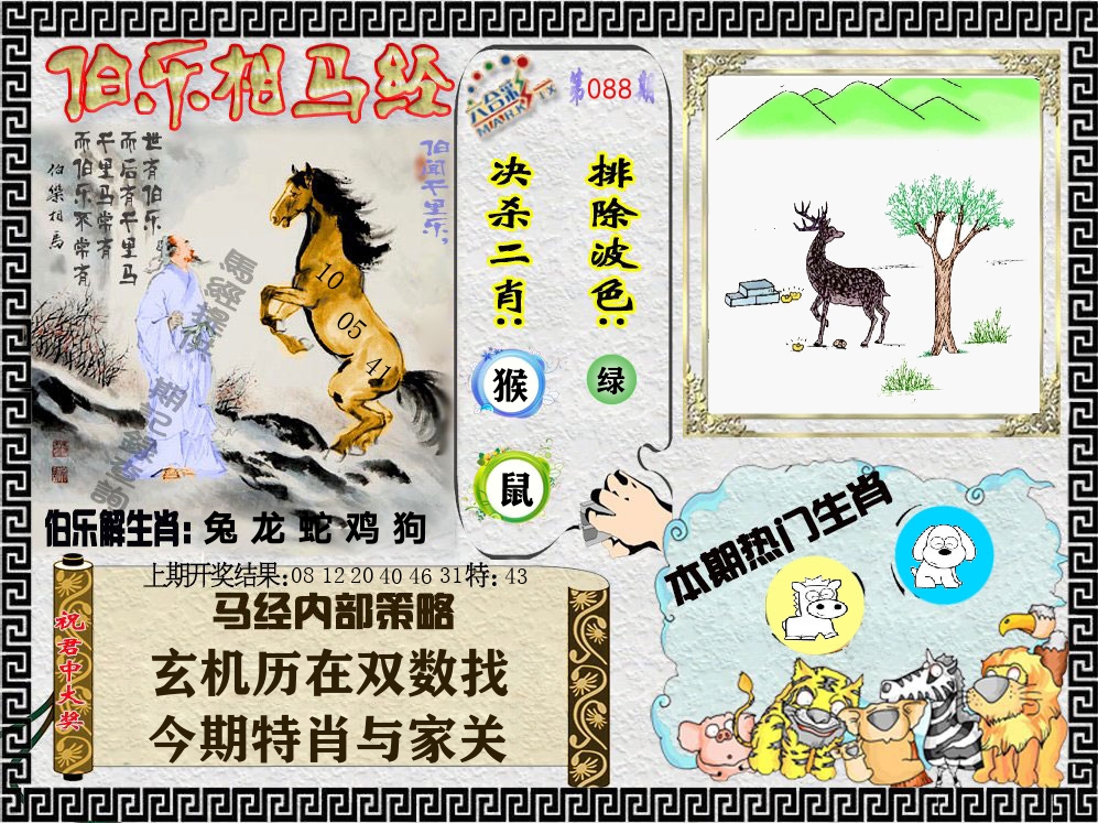 伯乐相马经 第88期