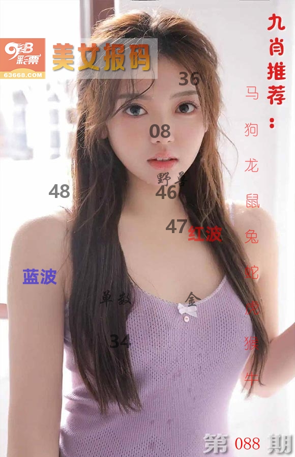 美女报码 第88期