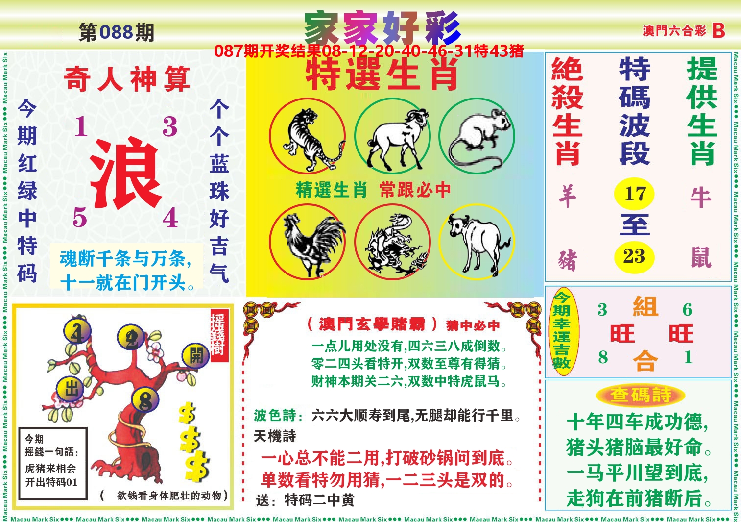 家家好彩B 第88期