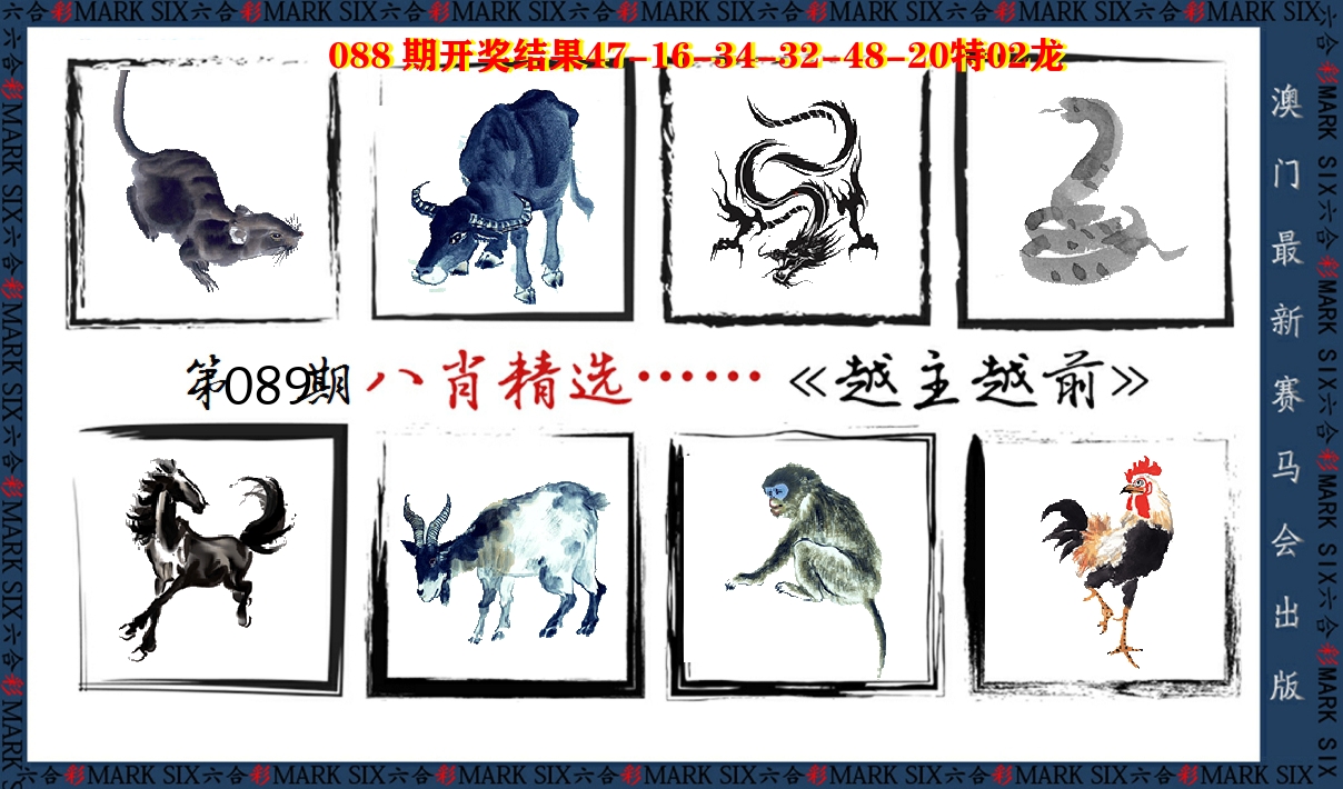 八肖精选 第89期