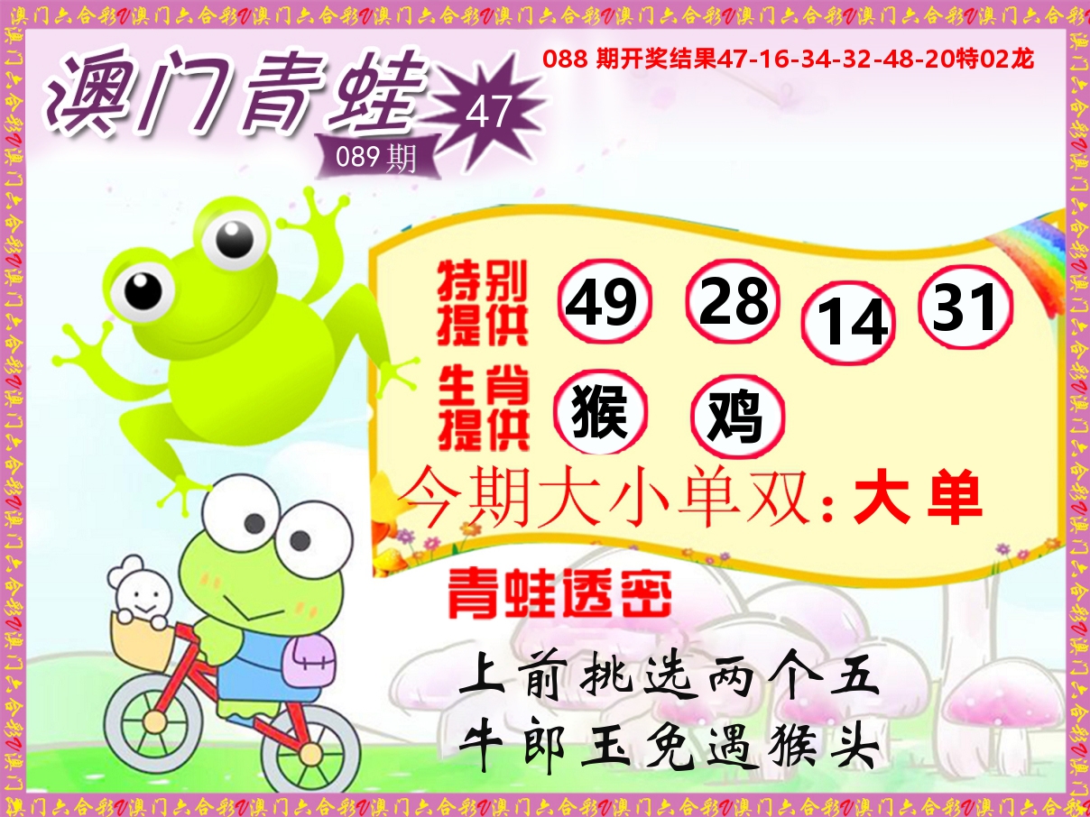 青蛙系列47 第89期
