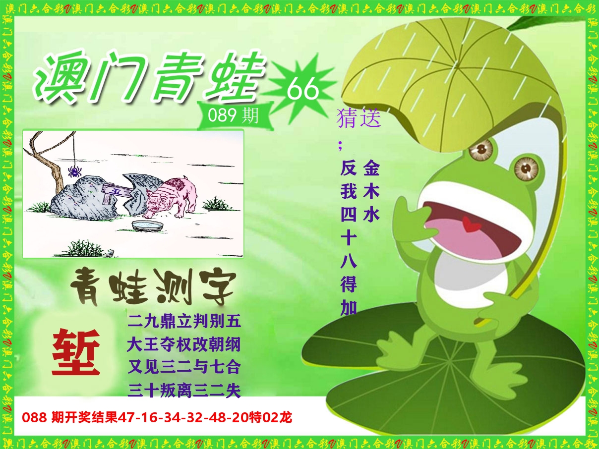 青蛙系列66 第89期
