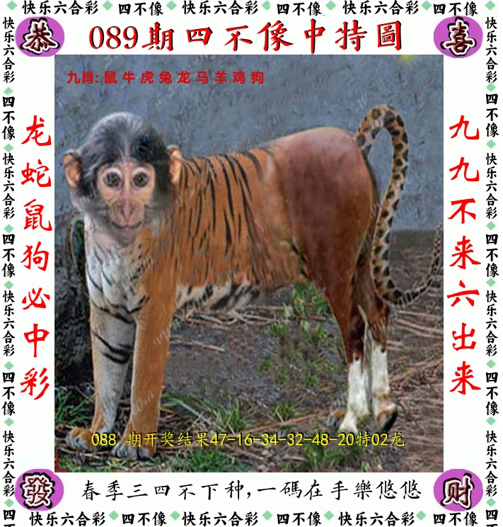 四不像 第89期