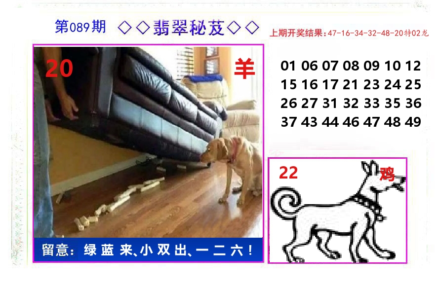翡翠秘芨 第89期