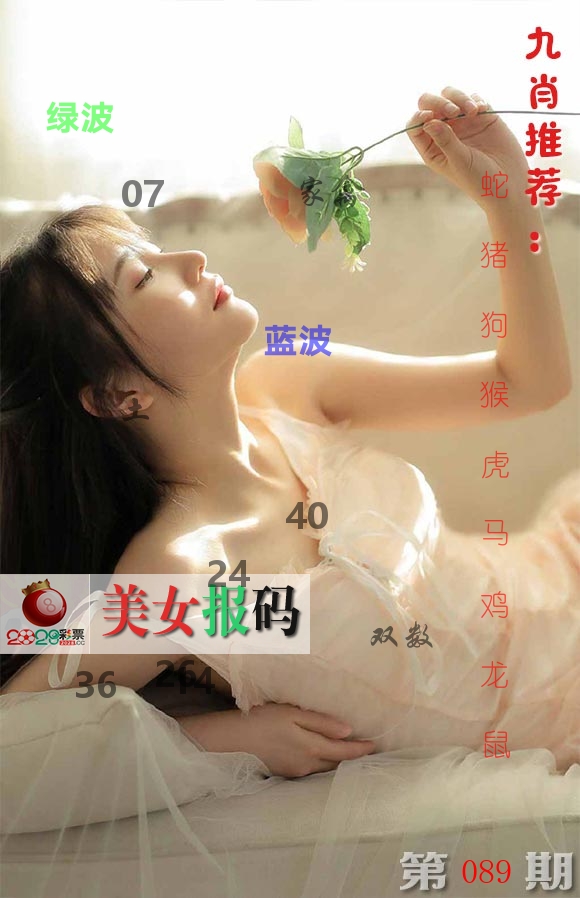 美女报码 第89期