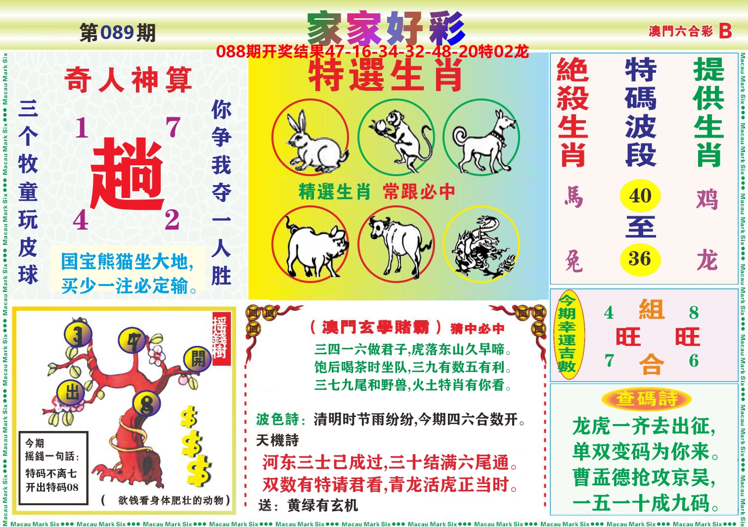 家家好彩B 第89期