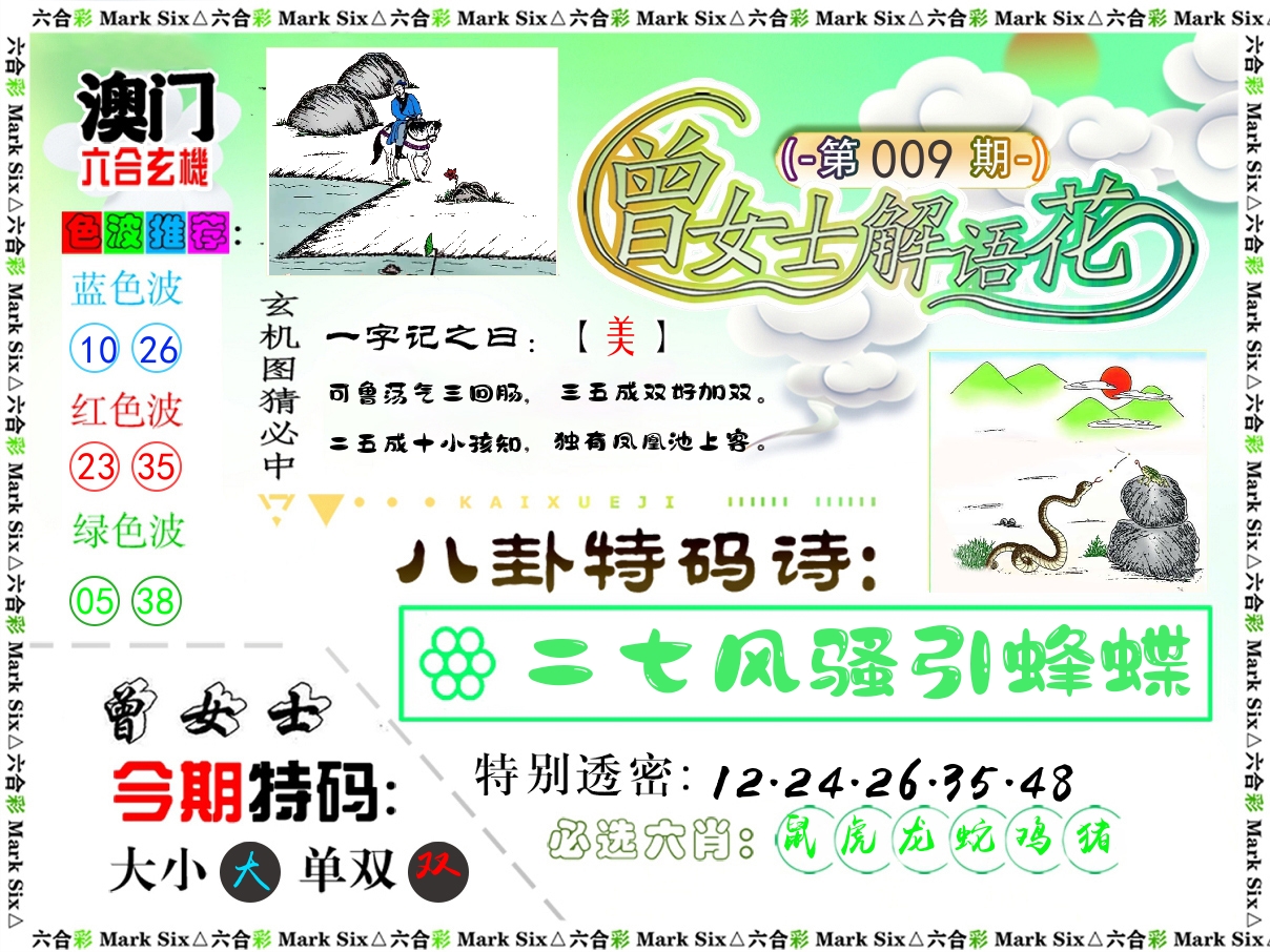 曾女士解语花 第9期