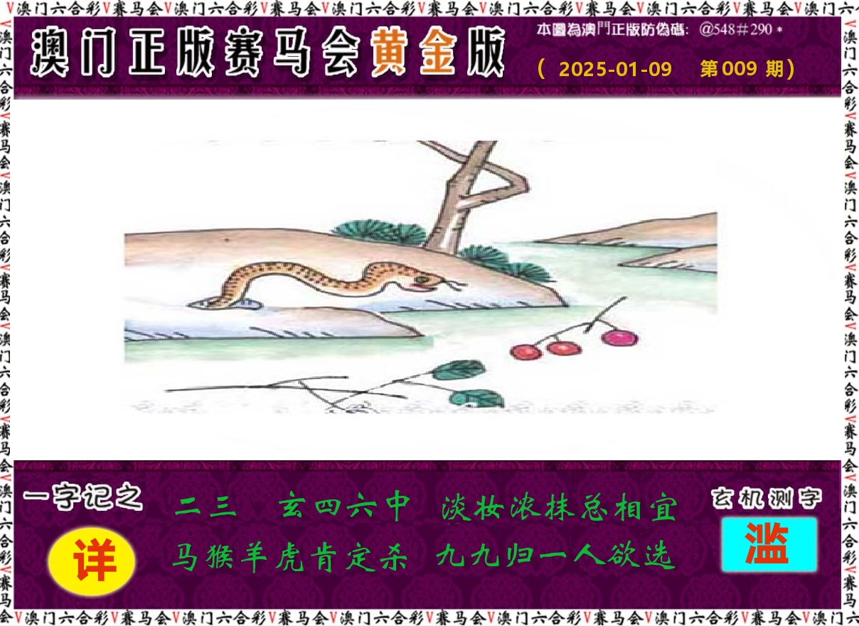 赛马会黄金版 第9期