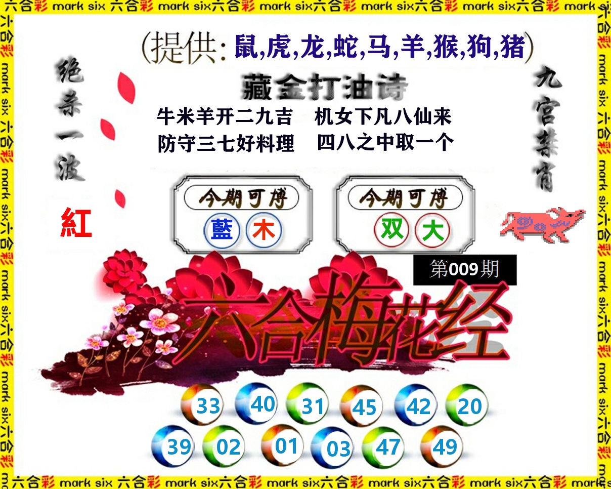 六合梅花经 第9期
