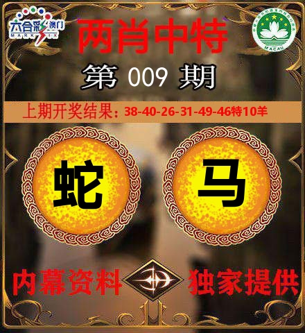 两肖中特 第9期