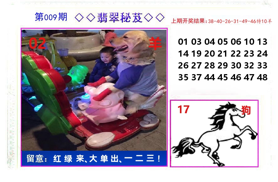 翡翠秘芨 第9期