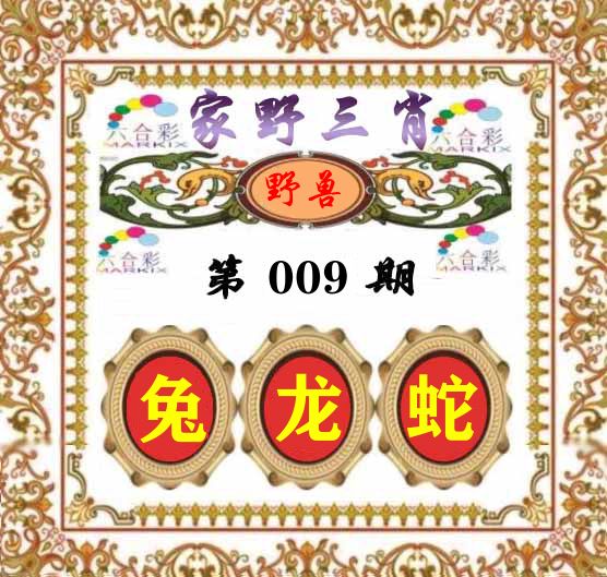 家野三肖 第9期