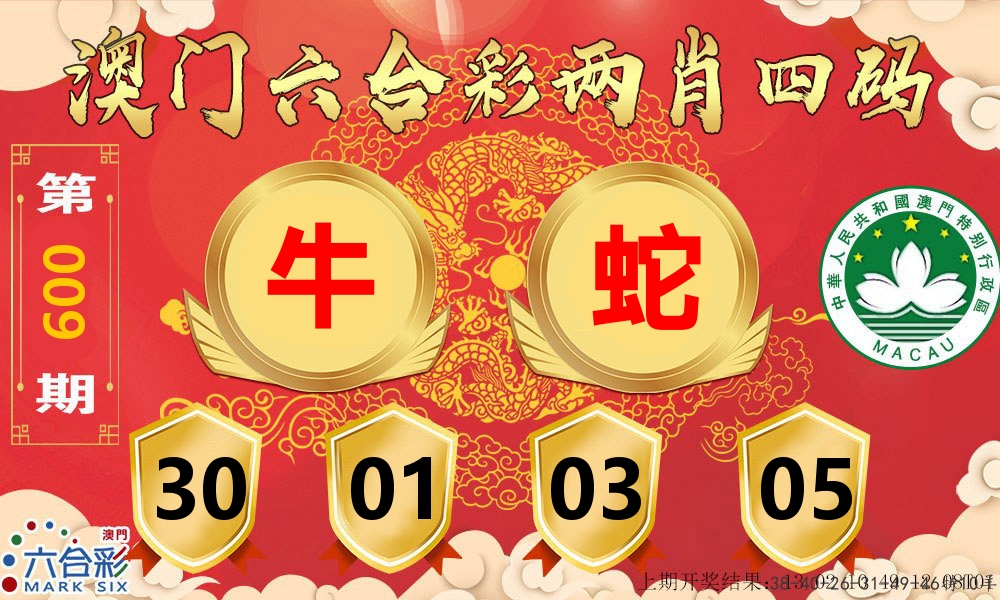 澳门两肖四码 第9期