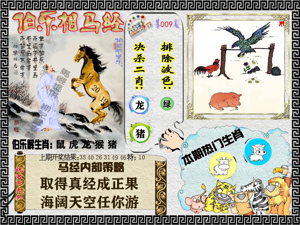 伯乐相马经 第9期