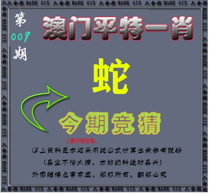 今期竞猜 第9期