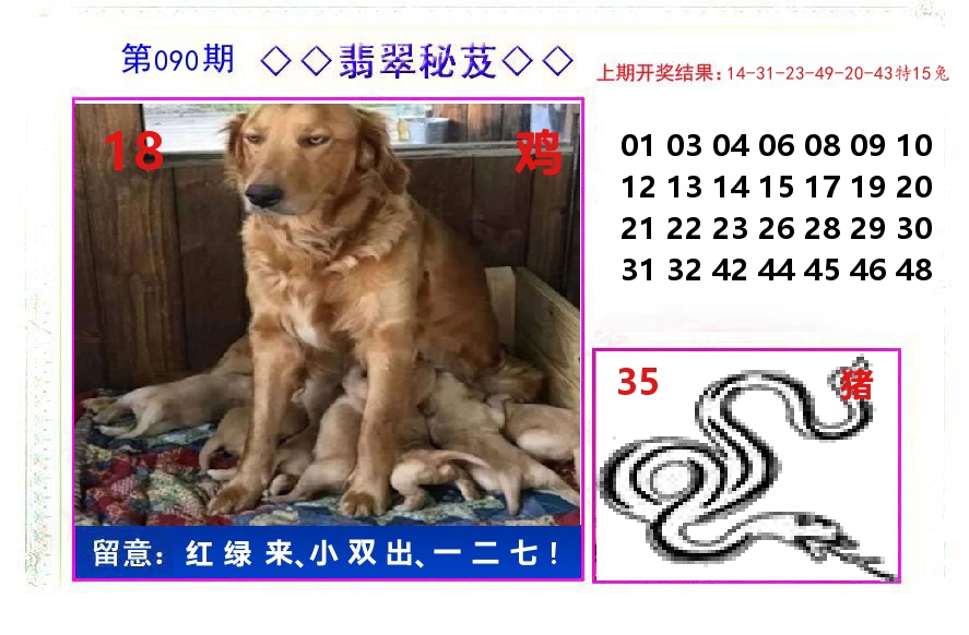 翡翠秘芨 第90期