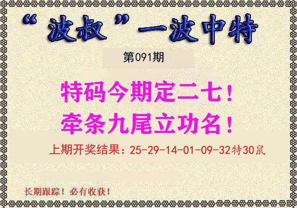 波叔中特 第91期