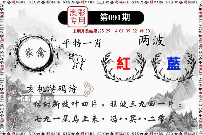 澳门专用 第91期