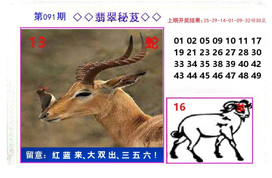 翡翠秘芨 第91期