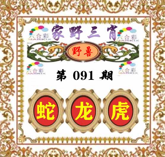 家野三肖 第91期