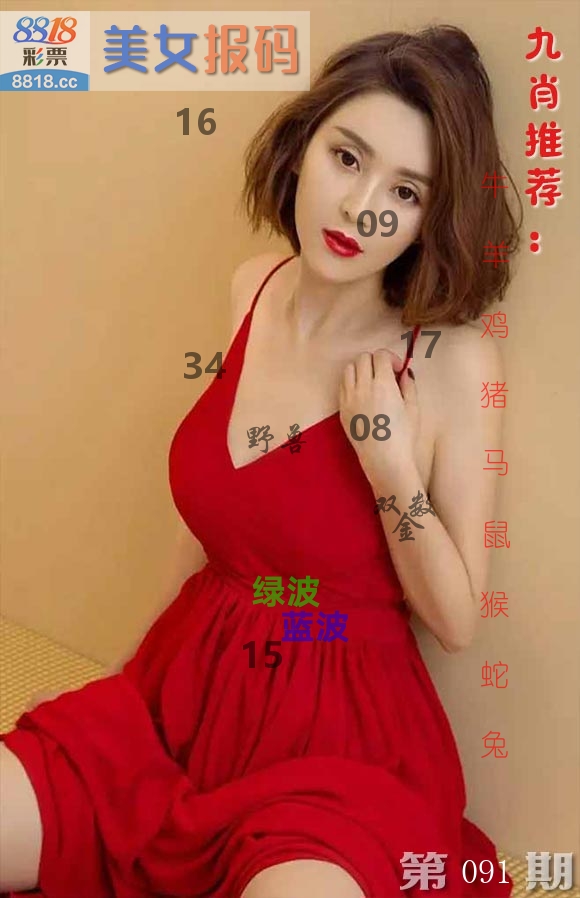 美女报码 第91期
