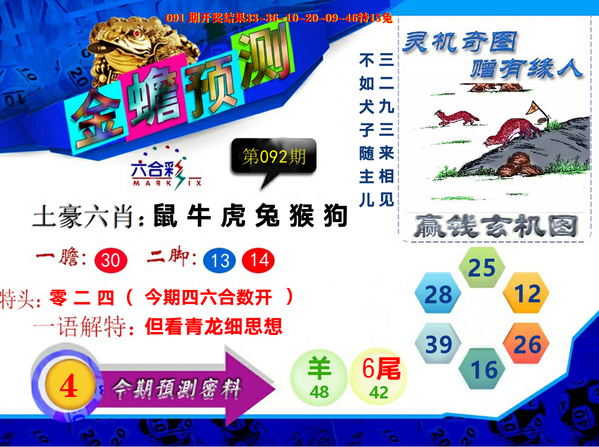 金蟾预测 第92期