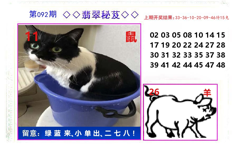 翡翠秘芨 第92期