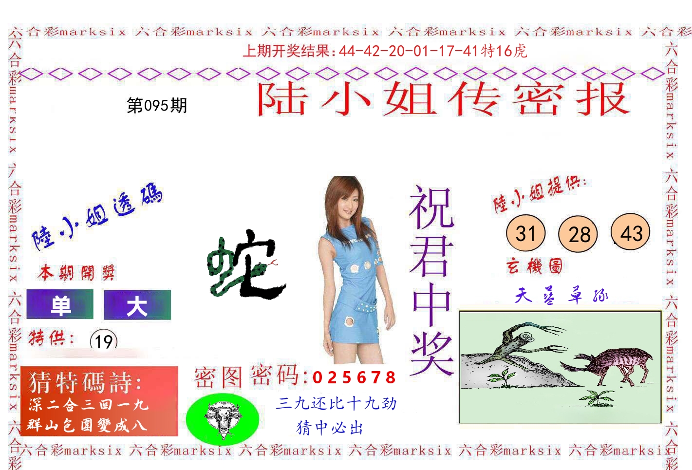 陆小姐密报 第95期