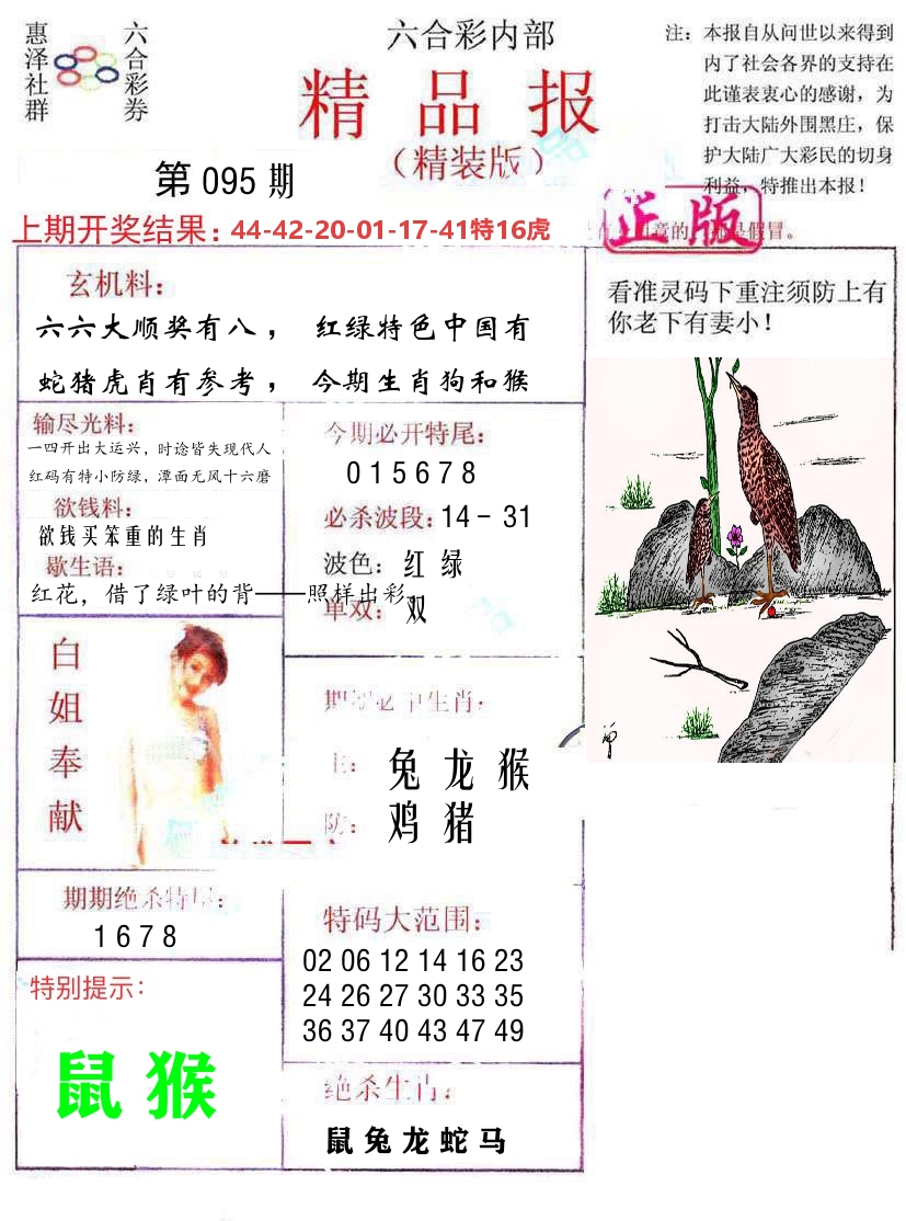 精品报 第95期