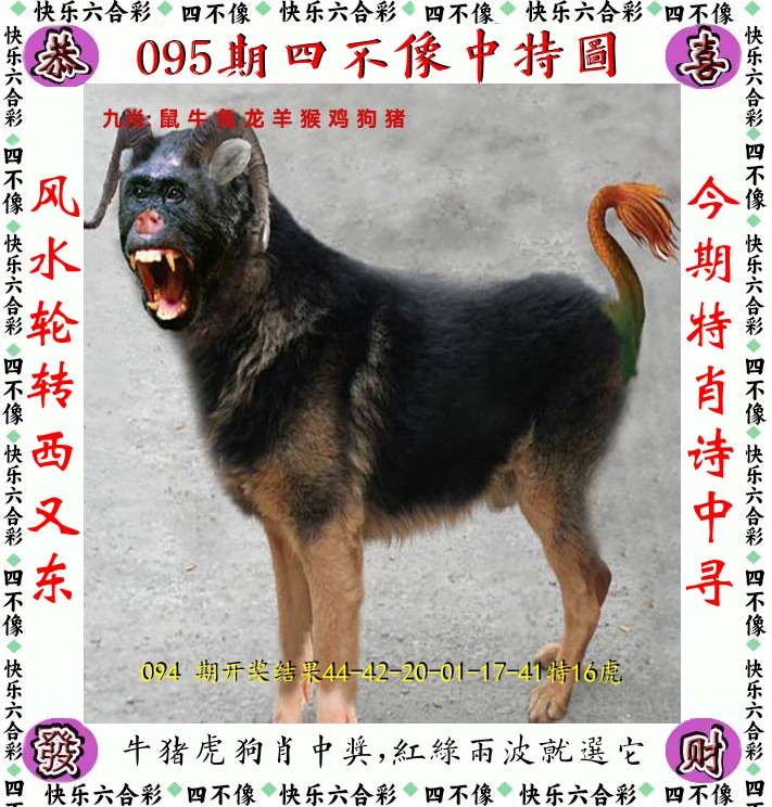 四不像 第95期