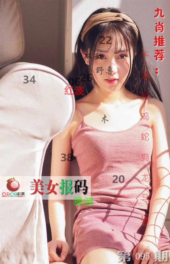 美女报码 第95期