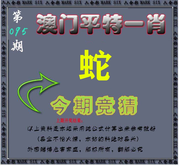 今期竞猜 第95期