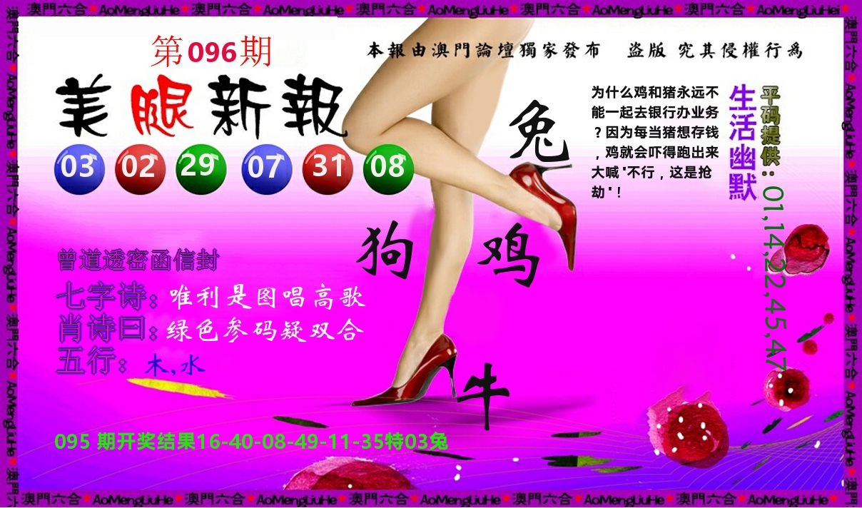 美腿新报 第96期