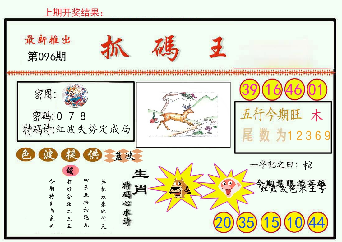 最新抓码王 第96期