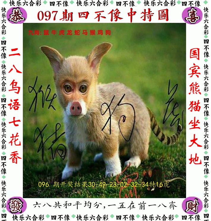 四不像 第97期