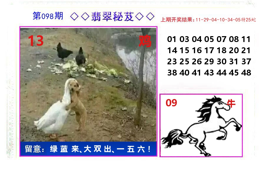 翡翠秘芨 第98期