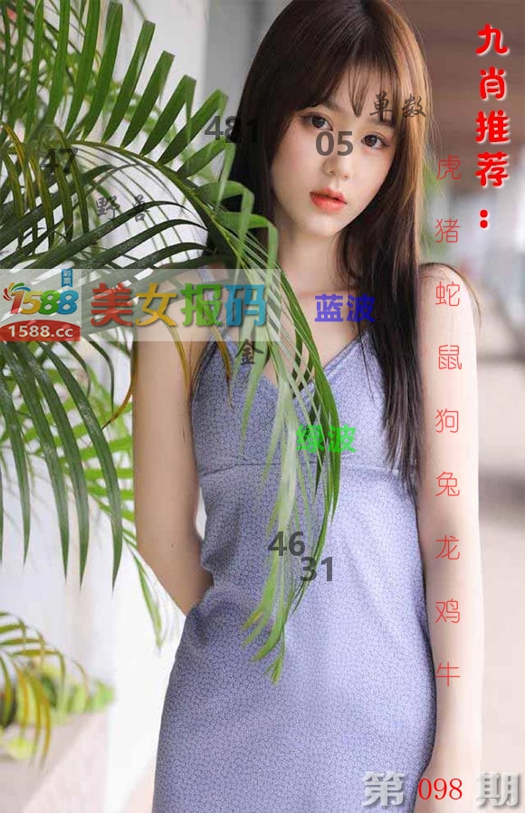 美女报码 第98期