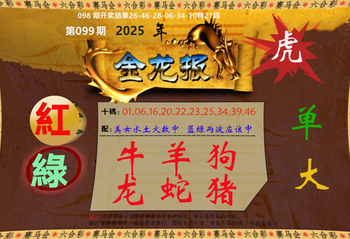 金龙报 第99期