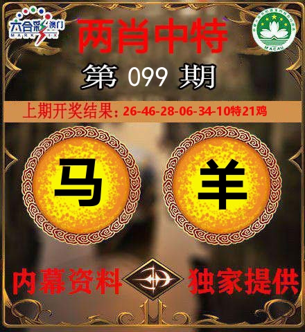 两肖中特 第99期