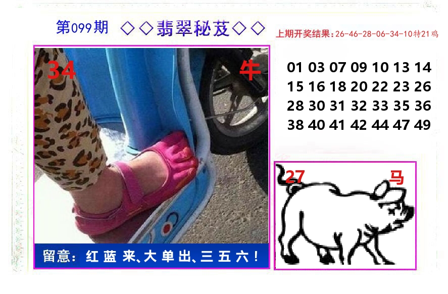 翡翠秘芨 第99期