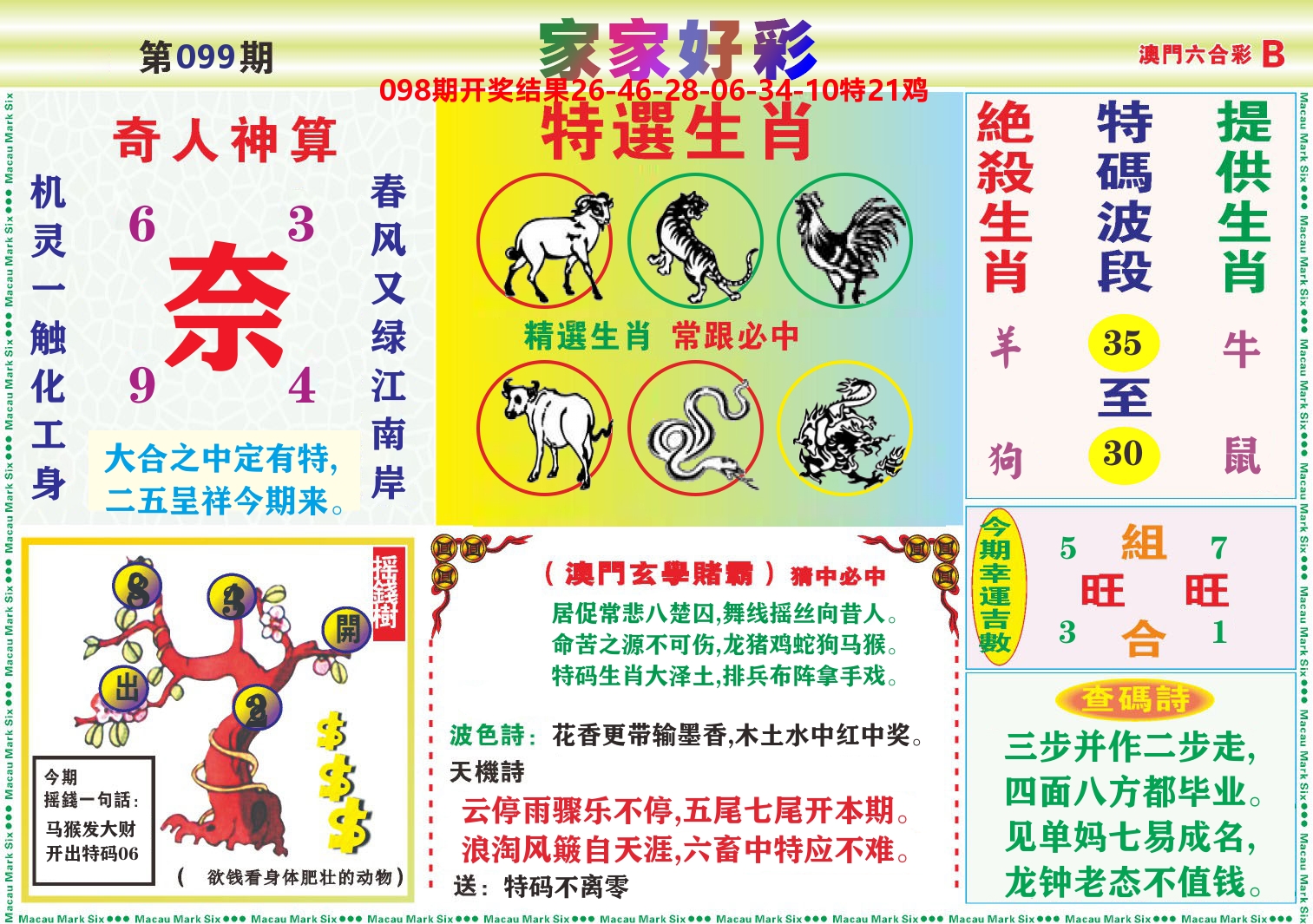 家家好彩B 第99期