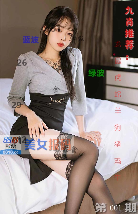 美女报码 第1期