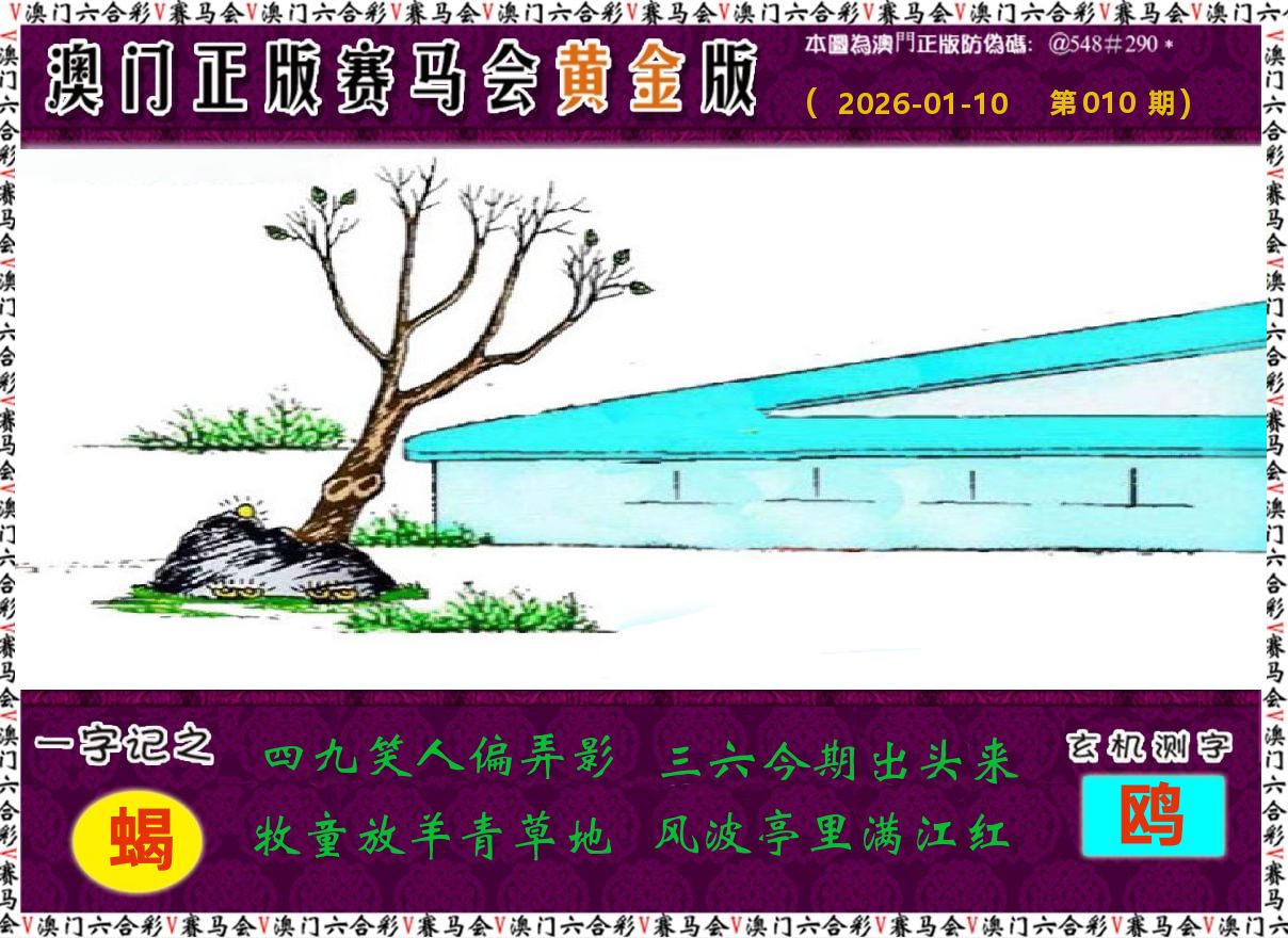 赛马会黄金版 第10期
