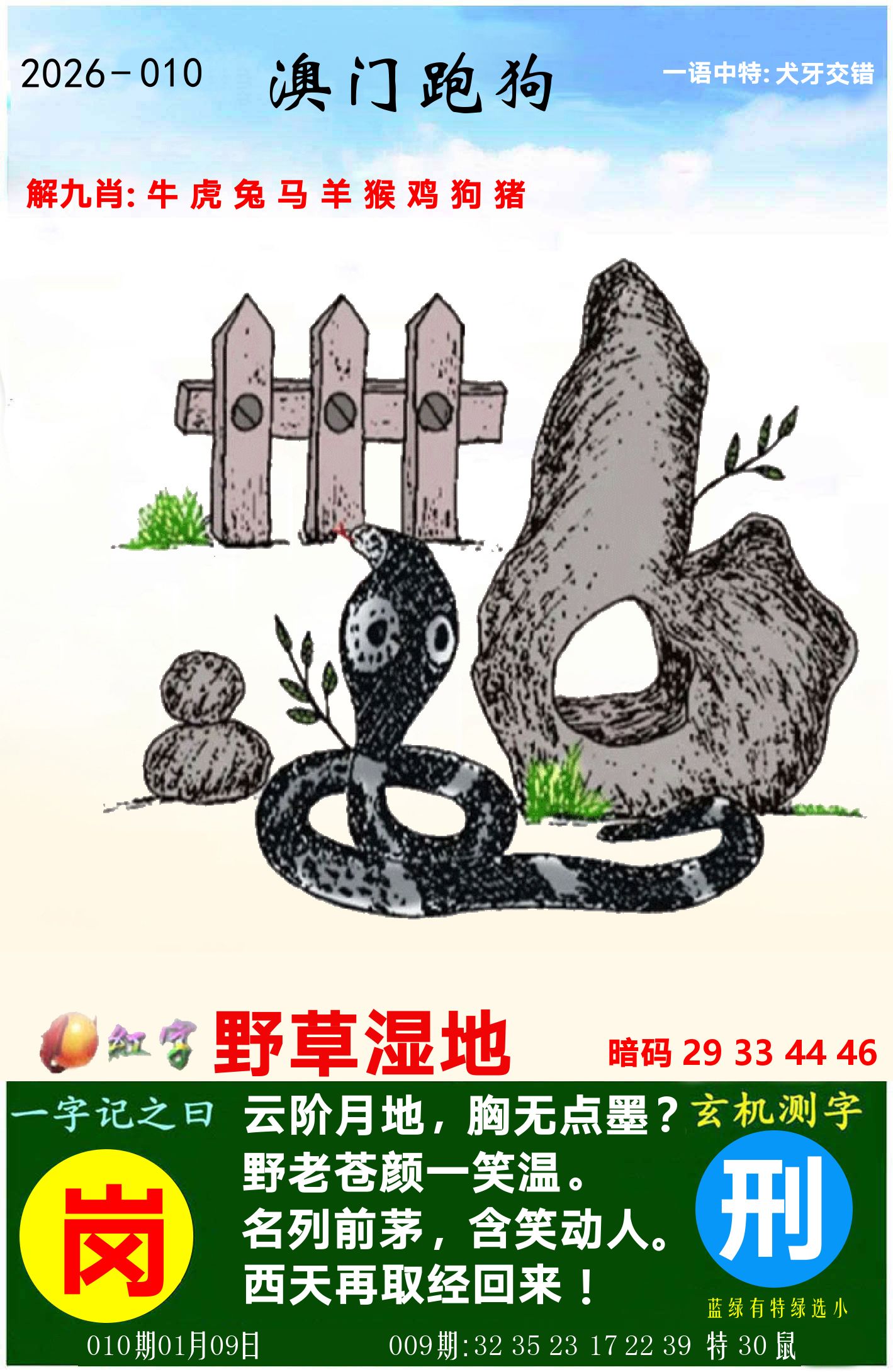 澳门跑狗图 第10期