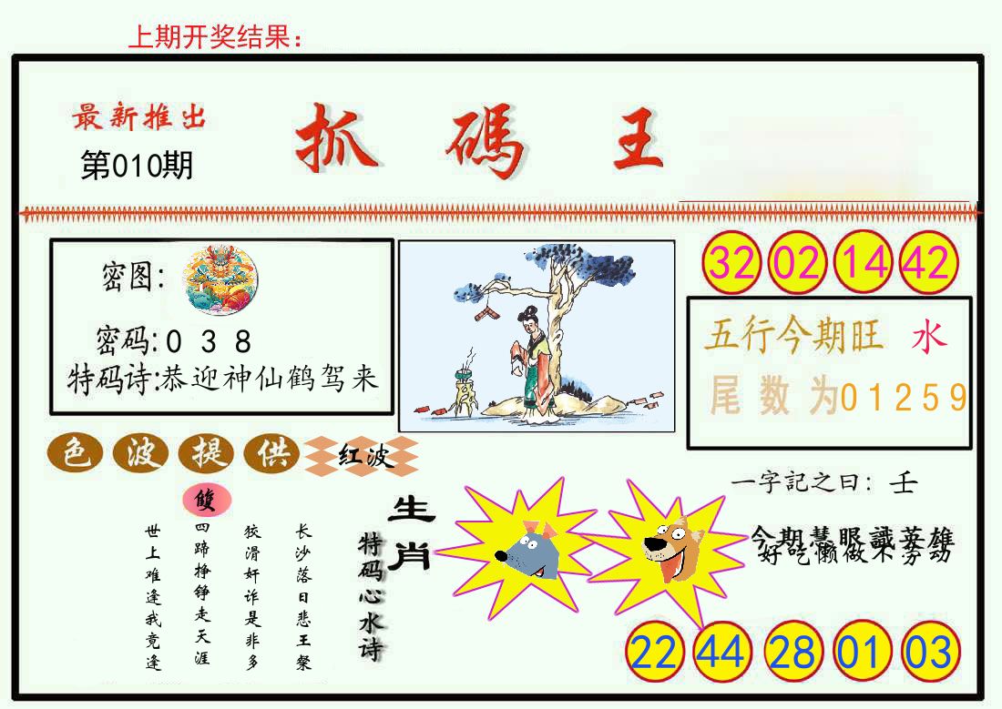 最新抓码王 第10期