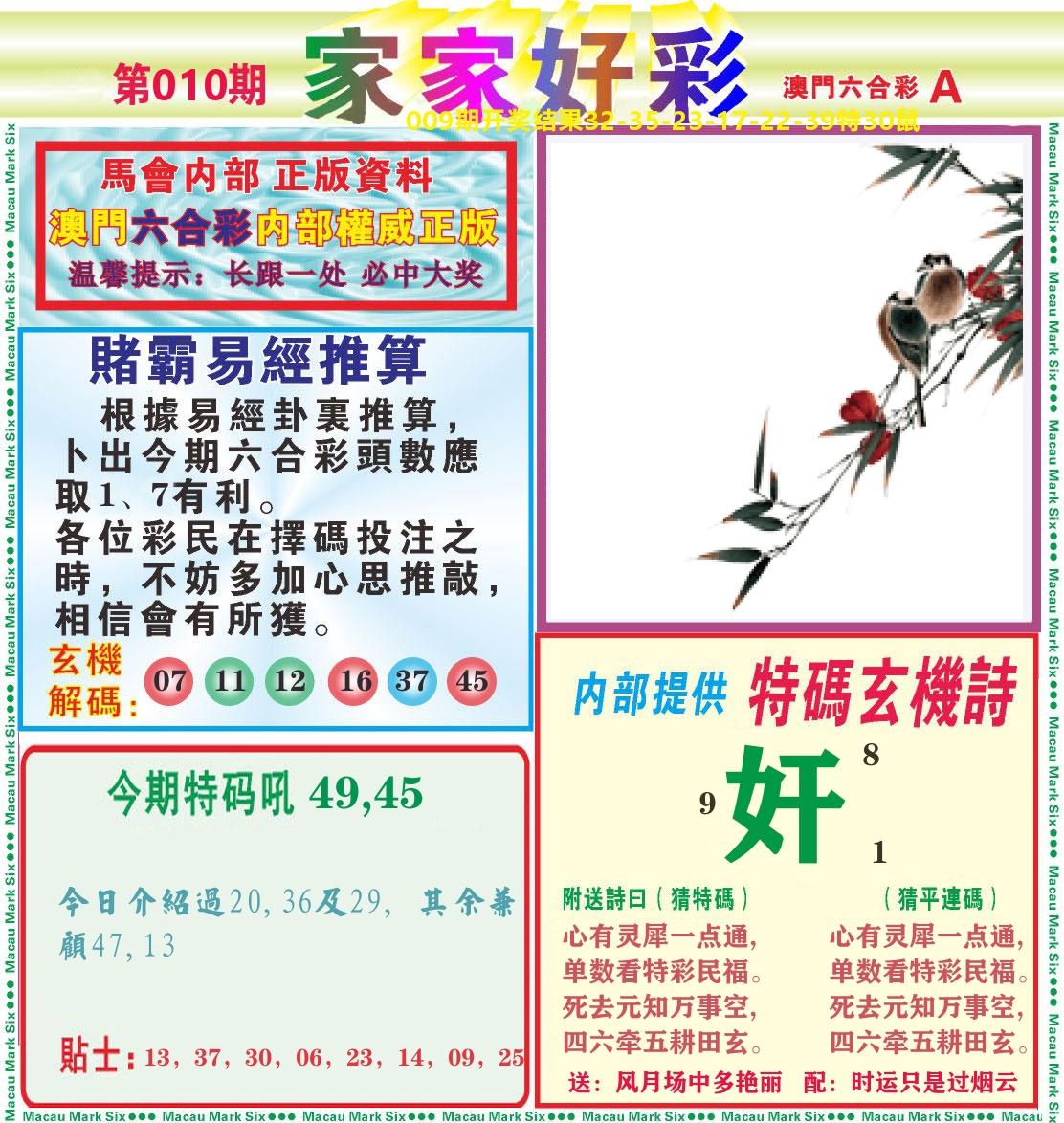 家家好彩A 第10期