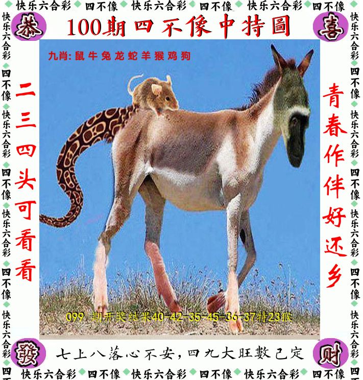 四不像 第100期