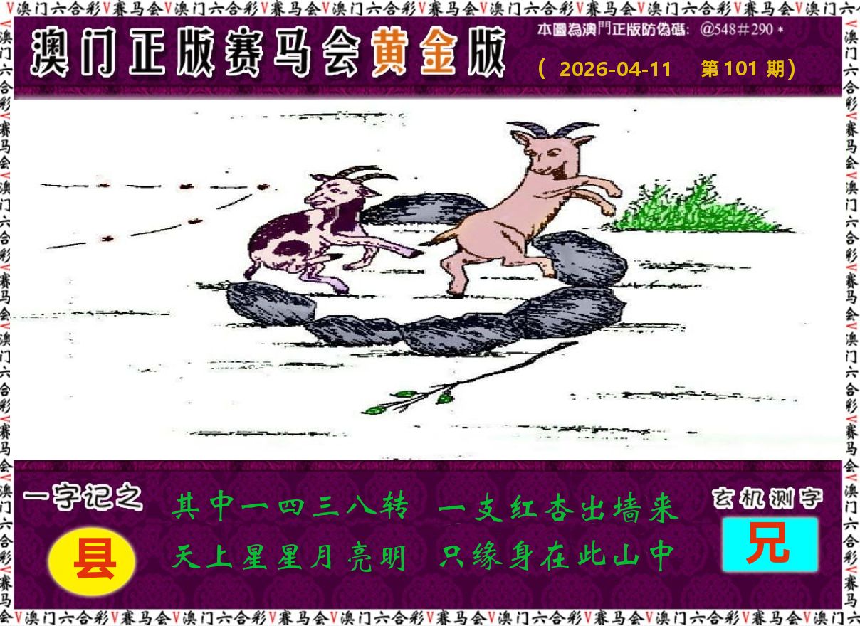 赛马会黄金版 第101期