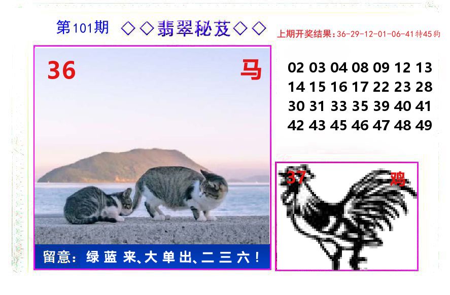 翡翠秘芨 第101期