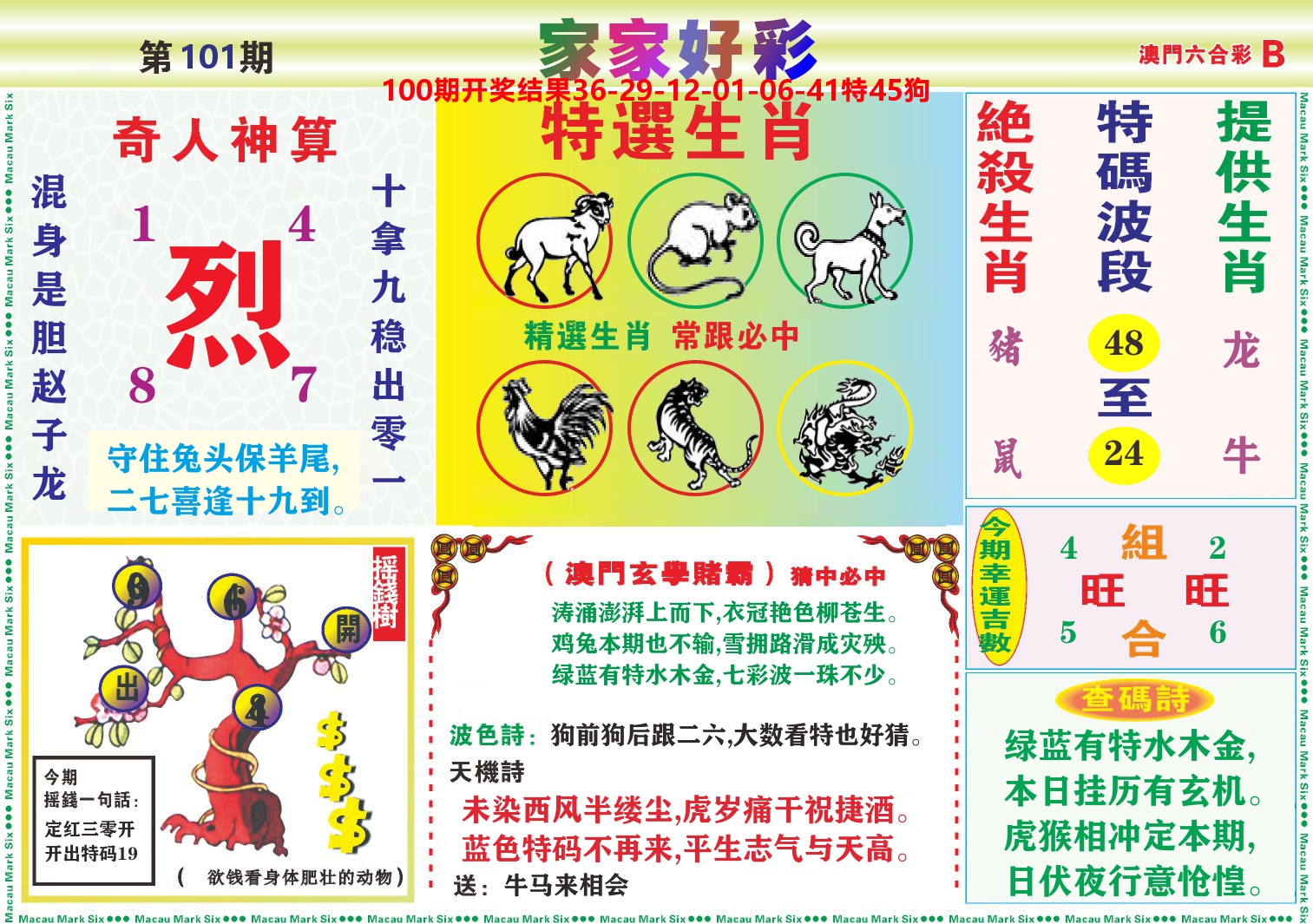 家家好彩B 第101期
